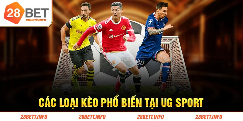 Cách tạo và xác thực tài khoản cá cược