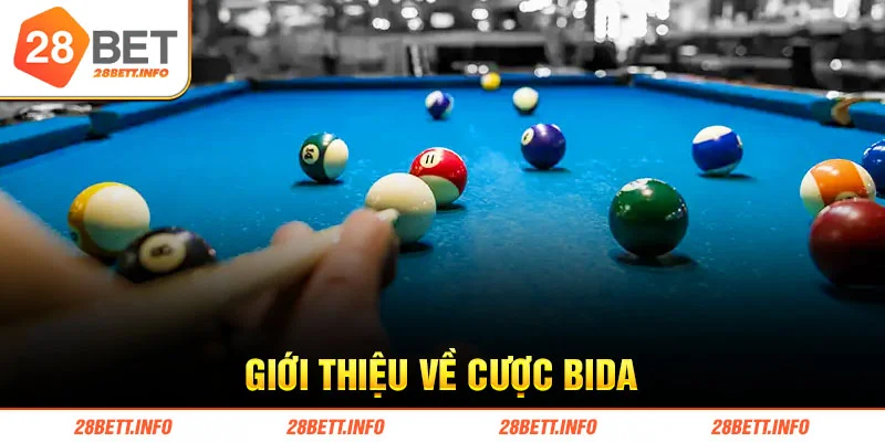 Giới thiệu về cược bida