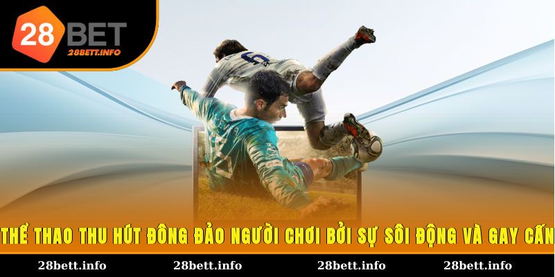 Thể thao thu hút đông đảo người chơi bởi sự sôi động và gay cấn