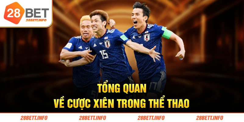 Tổng quan về cược xiên trong thể thao